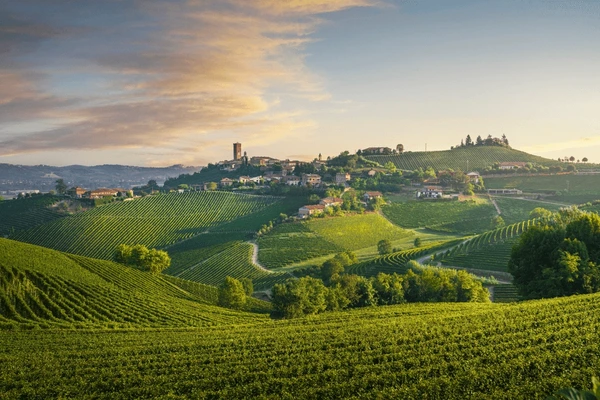 Bruno Rocca – terroir koji priča i miriše na jesen