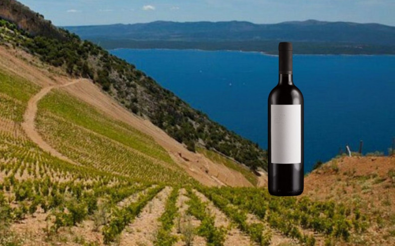 Stina Stipančić – vino koje nadilazi konvencije i postaje živo umjetničko djelo